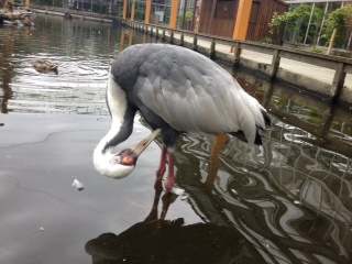 ２０１５年９月