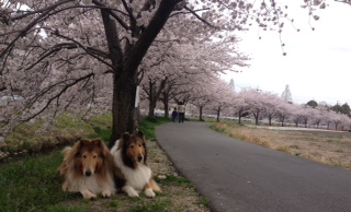 ２０１５年４月