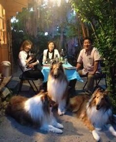 ２０１５年５月