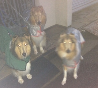 ２０１５年８月